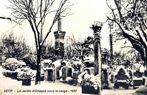 Setif - Jardin d'Orleans sous la Neige - 1957